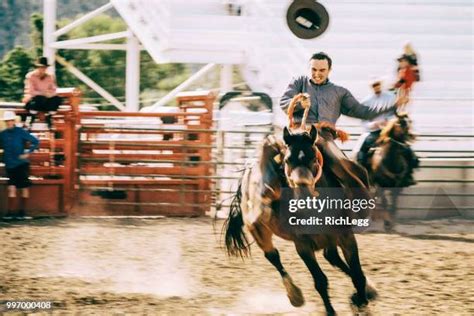 Saddle Bronc Saddles Photos and Premium High Res Pictures - Getty Images