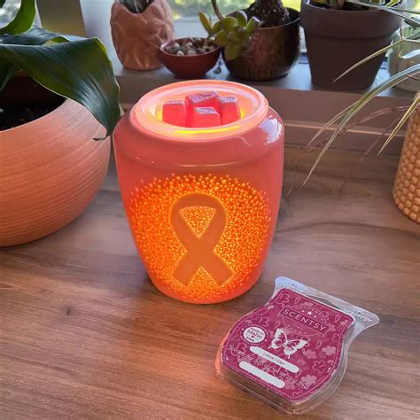 Breast Cancer Awareness Pink Scentsy Collection Incandescent Scentsy Us