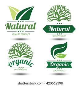 Set Eco Labels Badgesemblem Leaves Vector Stock Vector Royalty Free