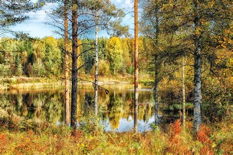 Finnland Hdr Teich Kostenloses Foto Auf Pixabay