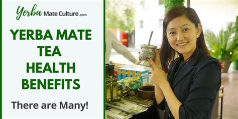 Yerba Mate Tea Health Benefits – Yerba Mate Culture