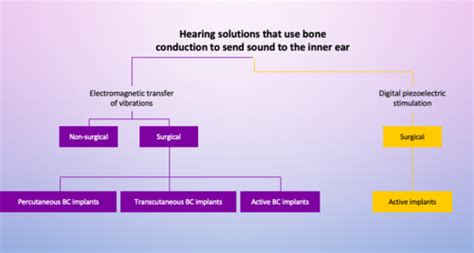 Bone Conduction Lecture Flashcards Quizlet