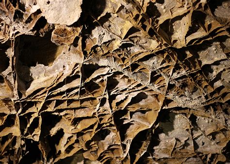 Boxwork, Wind Cave National Park — Out in the Parks