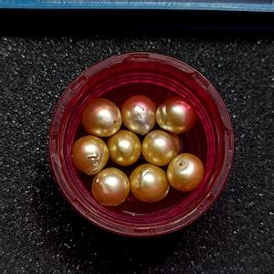 Genuine Golden South Sea Pearl Beads Very Rare Gold South Sea Pearl