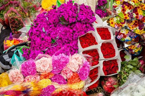 Colombian Flowers - A display of its biodiversity • Lulo Colombia Travel