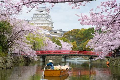 Castillo De Osaka Con Flor De Cerezo En Osaka Japón Japón Primavera