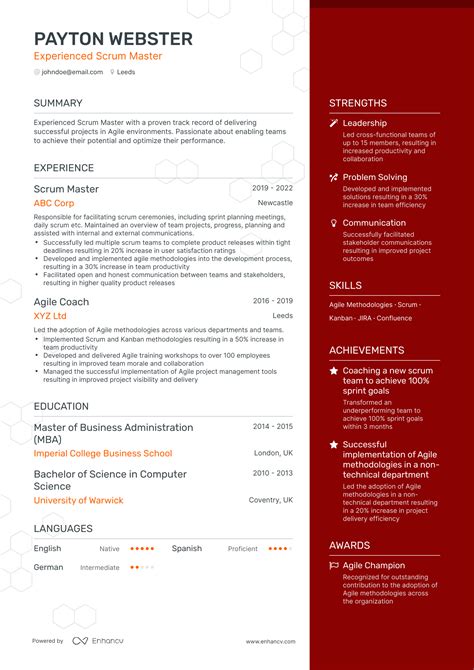 Scrum Master Cv Examples For