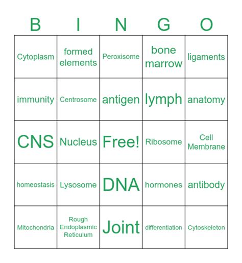 Anatomy And Physiology Review Bingo Card