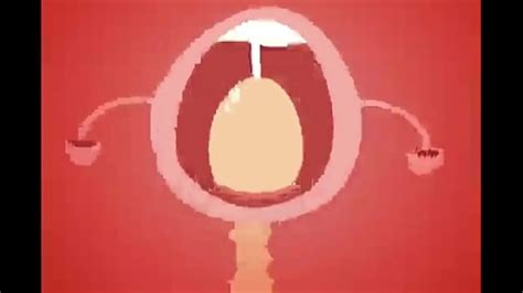 Minus Videos XVIDEOS