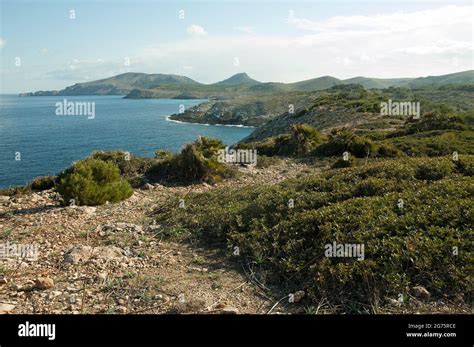 Levant Island Hi Res Stock Photography And Images Alamy