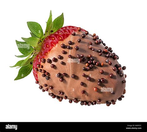 strawberry in chocolate isolated on the white background Stock Photo - Alamy