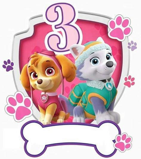 21 Ideas De Skye Paw Patrol Fiesta De La Patrulla Canina Fiestas De