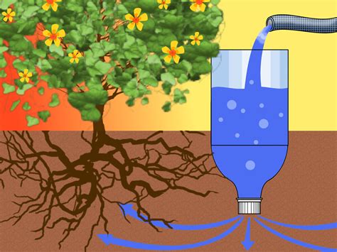 3 Ways To Make A Drip Irrigator From A Plastic Bottle Wikihow