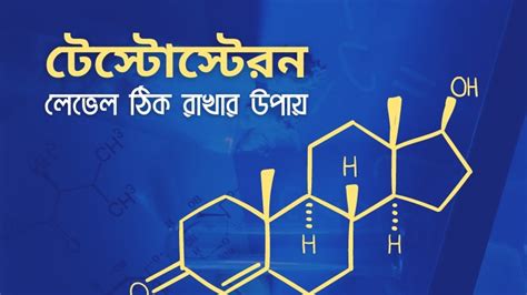 টেস্টোস্টেরন বা Testosterone কি এর গুরুত্ব এবং লেভেল ঠিক রাখার উপায়