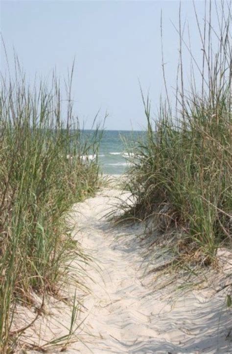 24 Best Shelling Beaches In Nc Secret Spots Artofit