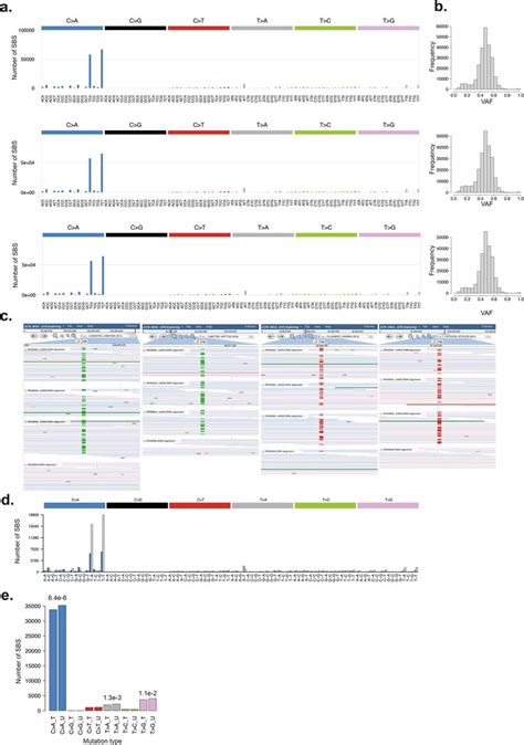 Characterisation Of Mutational Signature SBS10d A SBS Mutational