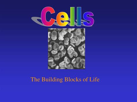 Ppt The Building Blocks Of Life Powerpoint Presentation Free