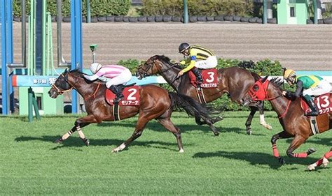 【jra】 202399土 紫苑ステークスgⅡ結果〖モリアーナ〗 ディープの 絶対的 ライブな日々