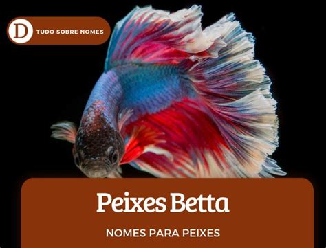 100 nomes lindos para peixes de estimação https