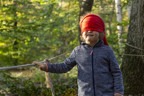 P tits Loups des Bois Des animations Nature pour séveiller et s