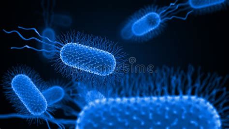 Bacteria Or Virus Under Microscope Stock Illustration Illustration Of