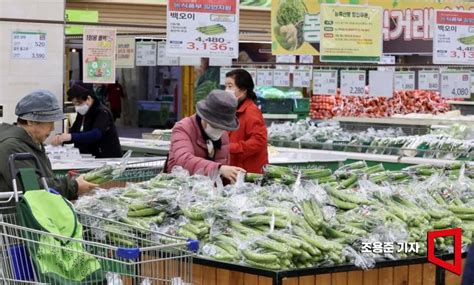 농식품부 농협 새봄맞이 특별할인전…하나로마트서 농축산물 최대 70 할인 아시아경제