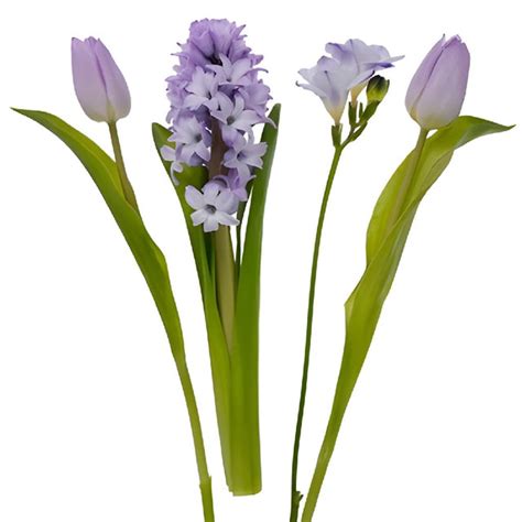 Buy Wholesale Fresh Spring Bulb Diy Flower Kit In Bulk Fiftyflowers