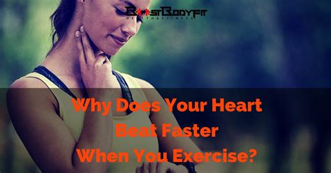 Why Does Your Heart Beat Faster When You Exercise New Year Insights