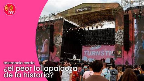 Tolerancia Cerdo El Peor Lollapalooza De La Historia