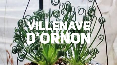 JARDILAND VILLENAVE DORNON YouTube