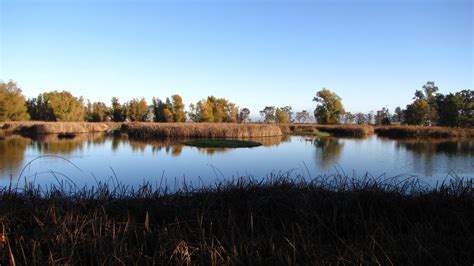 geno's blog: Sacramento National Wildlife Refuge