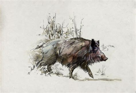 Click For A Larger View Wildboarhuntingpaintings Wild Boar Hunting