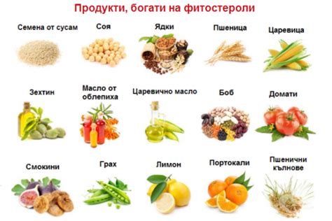 ЧЕРПАК С МЕРАК: Много полезна и действаща рецепта за сваляне на холестерол