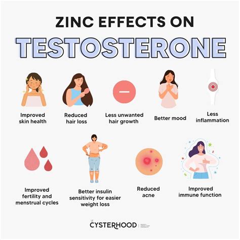 Does Zinc Boost Testosterone? - PCOS Weightloss