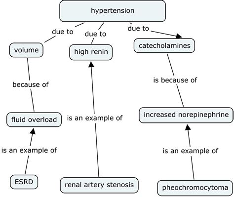 Nephron Power Concept Map Of Types Of Hypertension