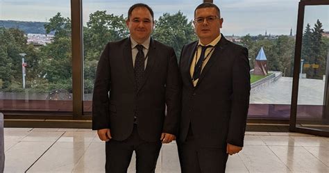 Georgian Ukrainian Parliamentary Foreign Affairs Committee Chairs