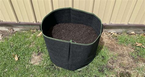 Growing Tomatoes In Grow Bags A Comprehensive Guide