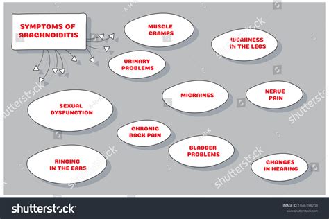 Symptoms Arachnoiditis Vector Illustration Medical Journal Stock Vector (Royalty Free) 1846398208