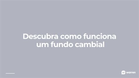 Fundo De Prote O Cambial O Que E Como Investir Na Pr Tica