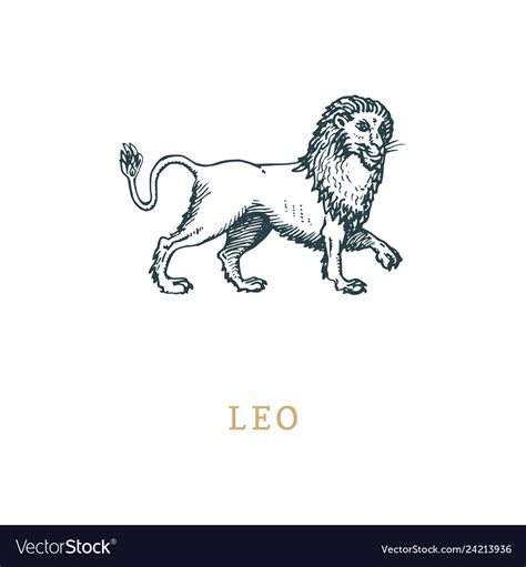 Leo Zodiac Symbol Hand Drawn In Engraving Style Vector Image