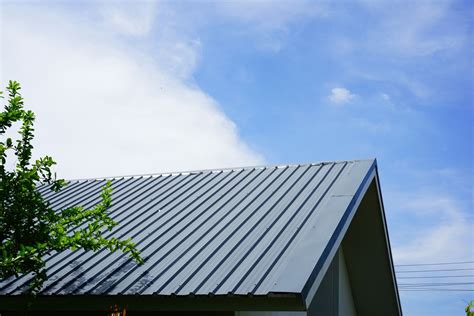 Flat Roof Vs Pitched Roof Pros And Cons