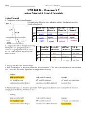 HW2 Key Pdf Name Time Date Of Section NPB 101 D Homework 2 Action