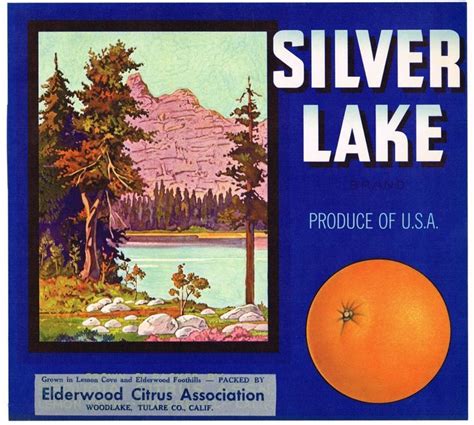 10 Vintage Fruit Crate Labels That D Make Anyone Move To Socal Artofit