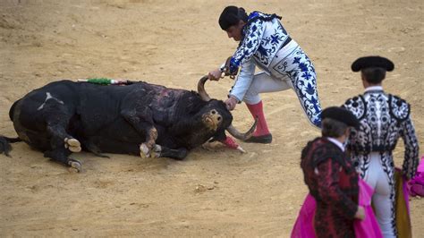 Espagne la justice lève l interdiction des corridas en Catalogne rtbf be