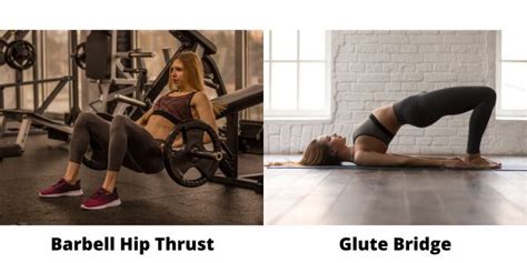 Hip Thrust Vs Glute Bridge Key Differences Explained — Strength