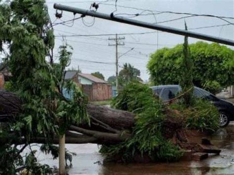 Em 45 minutos temporal derruba 15 árvores em Campo Grande Capital