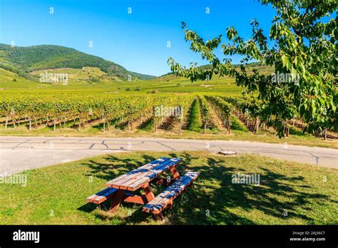 Picnic Table Under Tree Hi Res Stock Photography And Images Alamy