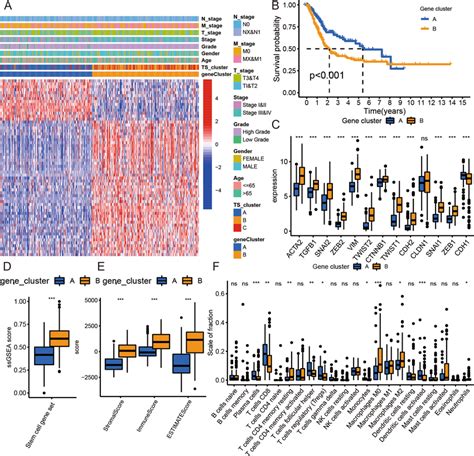 Transcriptomic And Metabolic Characteristics Of The Ts Related Gene Download Scientific Diagram