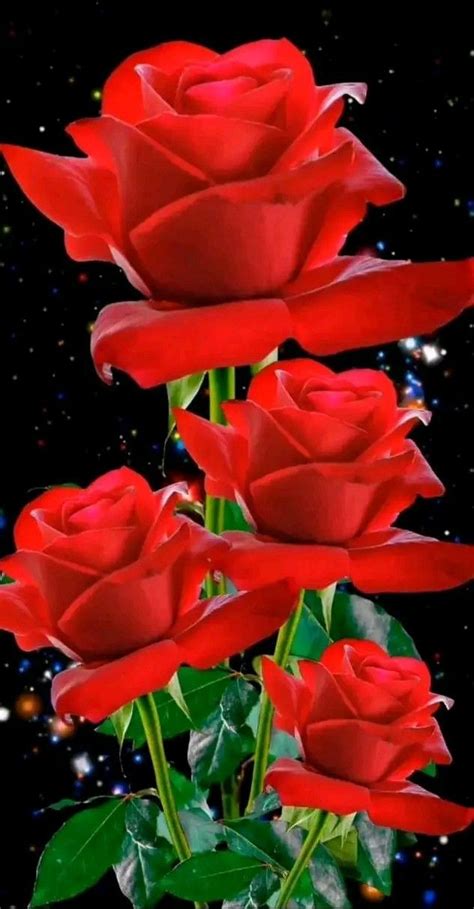 Stunning Red Rose Bouquet