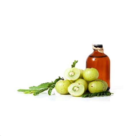 Amala Oil At Best Price In Pune Maharashtra Aditya Exports